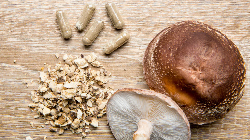 Elevate Your Wellness Journey with Mushroom Capsules
